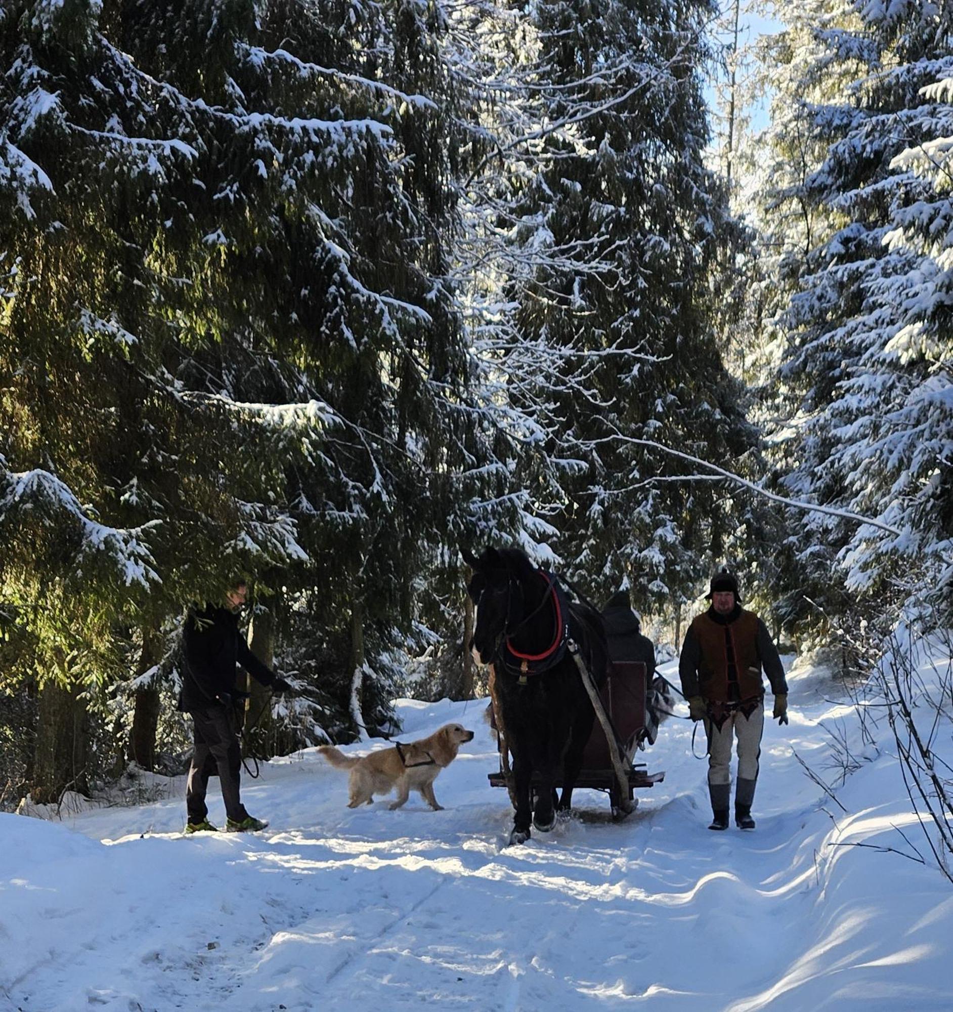 Appartamento Kalinowka Kościelisko Esterno foto